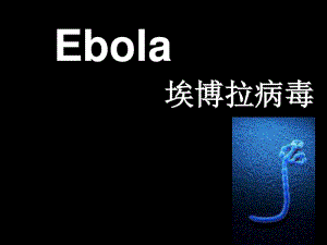 《埃博拉病毒》PPT課件.ppt