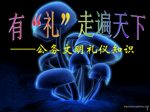 公務(wù)文明禮儀知識.pptx