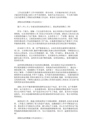采購員試用期滿工作總結-免費閱讀