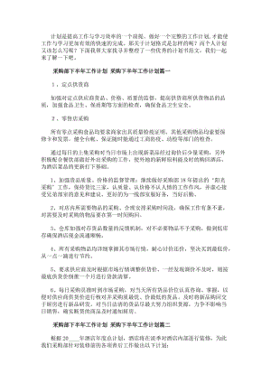 采購部下半年工作計劃采購下半年工作計劃(6篇)-免費閱讀