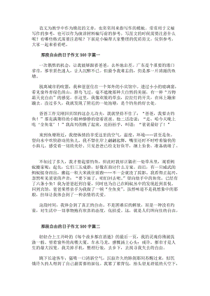 那段自由的日子作文500字(十四篇)-文庫吧在線文庫