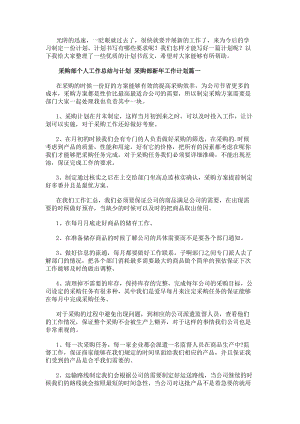 采購部個人工作總結與計劃采購部新年工作計劃(13篇)(已修改)
