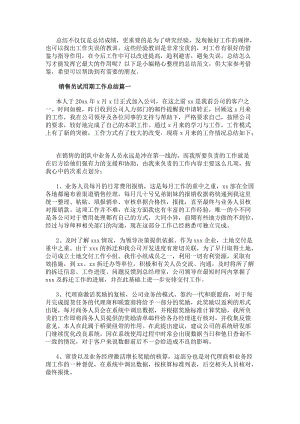 銷售員試用期工作總結(通用13篇)(參考版)