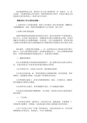 銷售員的工作計(jì)劃和總結(jié)(十一篇).docx