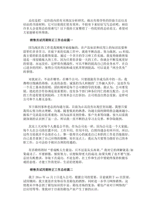銷售員試用期轉正工作總結(匯總13篇)(已改無錯字)