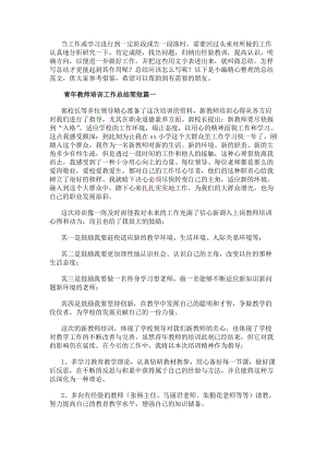 青年教師培訓(xùn)工作總結(jié)簡短(匯總十二篇)-文庫吧資料