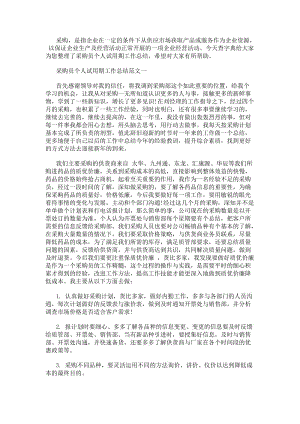 采購員個人試用期工作總結(jié)-在線瀏覽