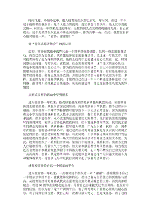 青年志愿者協會學期工作總結(完整版)